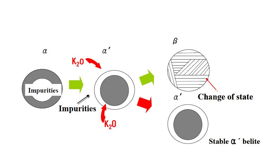 Diagram of the belite