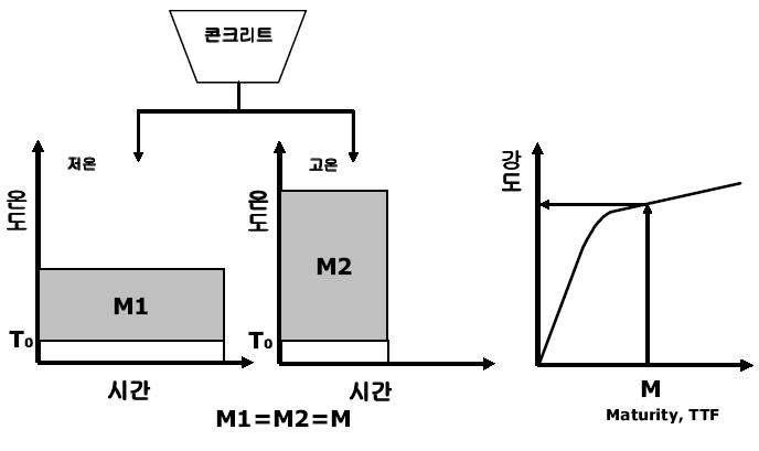 성숙도의 개념