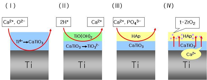 The direct formation mechanism of t-ZrO2 can be explained that the diffusion of Ca makes point defects in the ZrO2 and, as a result, t-ZrO2 can be maintained in the room temperature