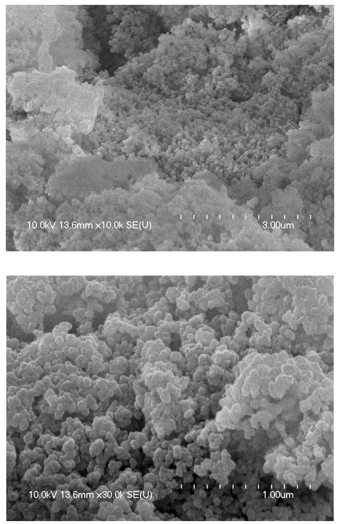 FESEM images of nanocrystalline HAp films formed by MAO