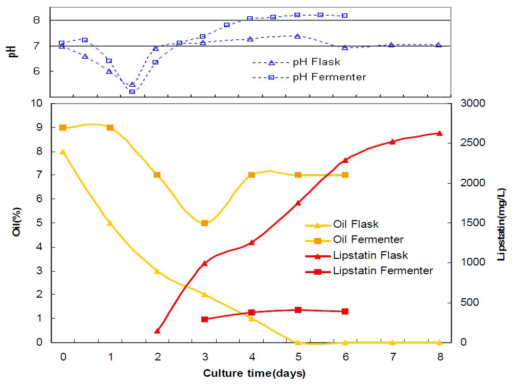 Effect of culture scales on lipstatin fermentation.