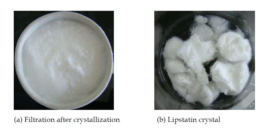 Crystal of lipstatin after crystallization process.
