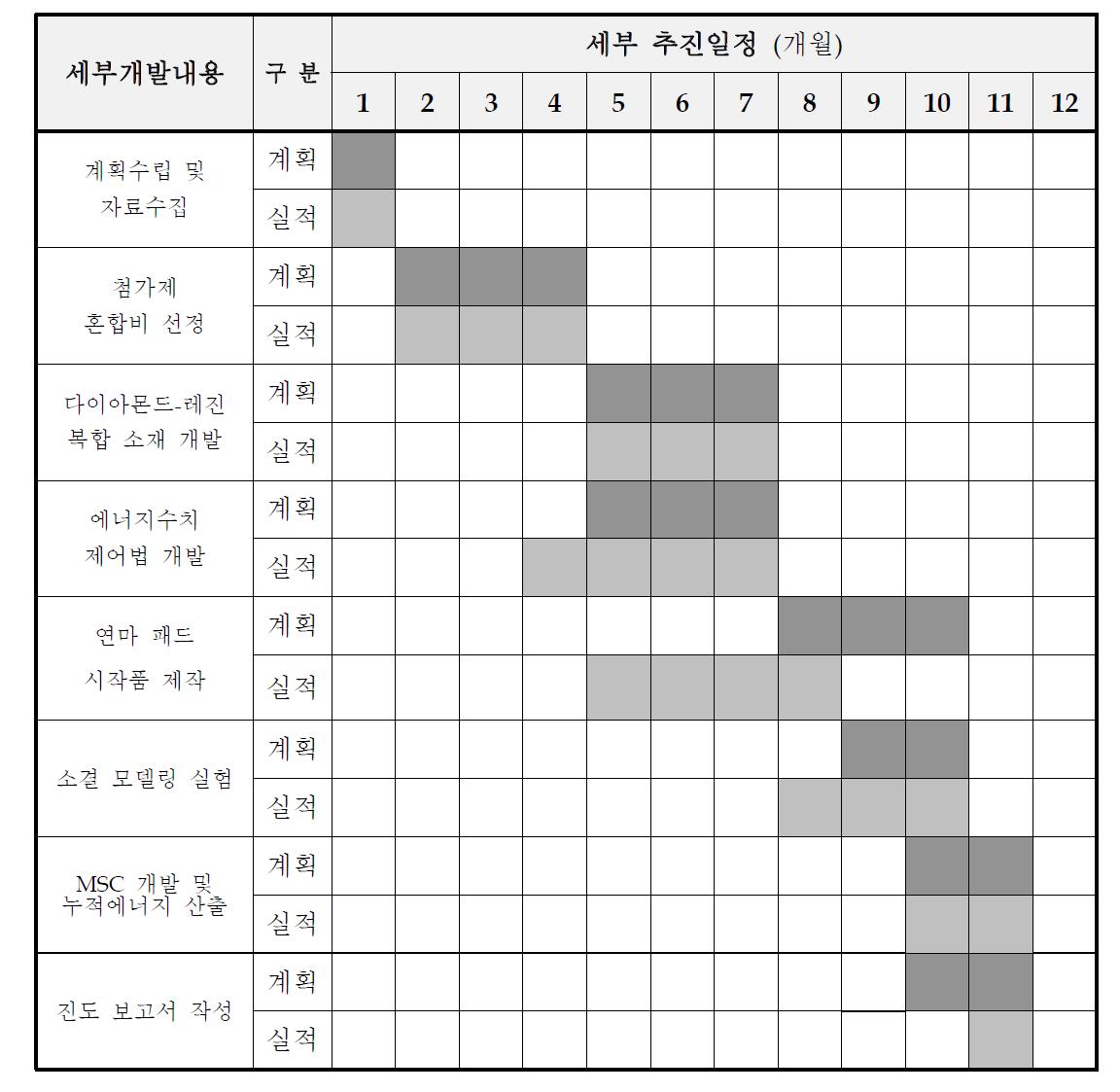 1차년도 세부 추진 일정