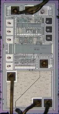 경쟁사 제품 Chip 사진 (0.75mm X 1.70mm)