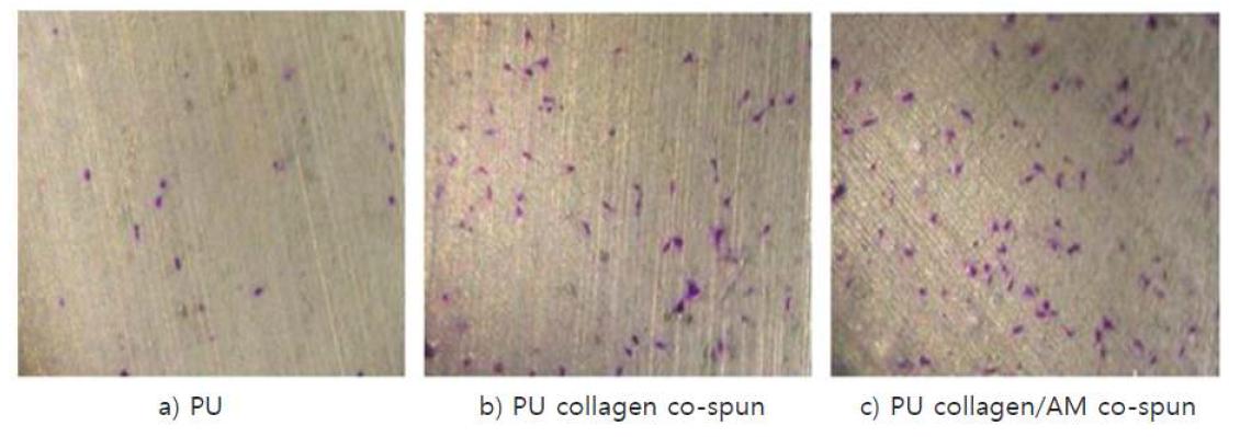 NIH 3T3 fibroblast adhesion on the a) PU, b) PU and collagen, c) PU and collagen/AMnanofiber as measured by crystal violet staining.