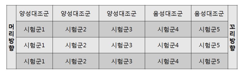 실험군의 구성