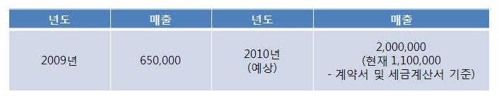 2010 매출 예상 실적