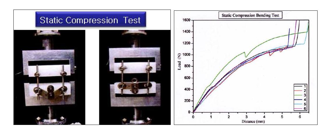 Startic Compression Test 시험 예