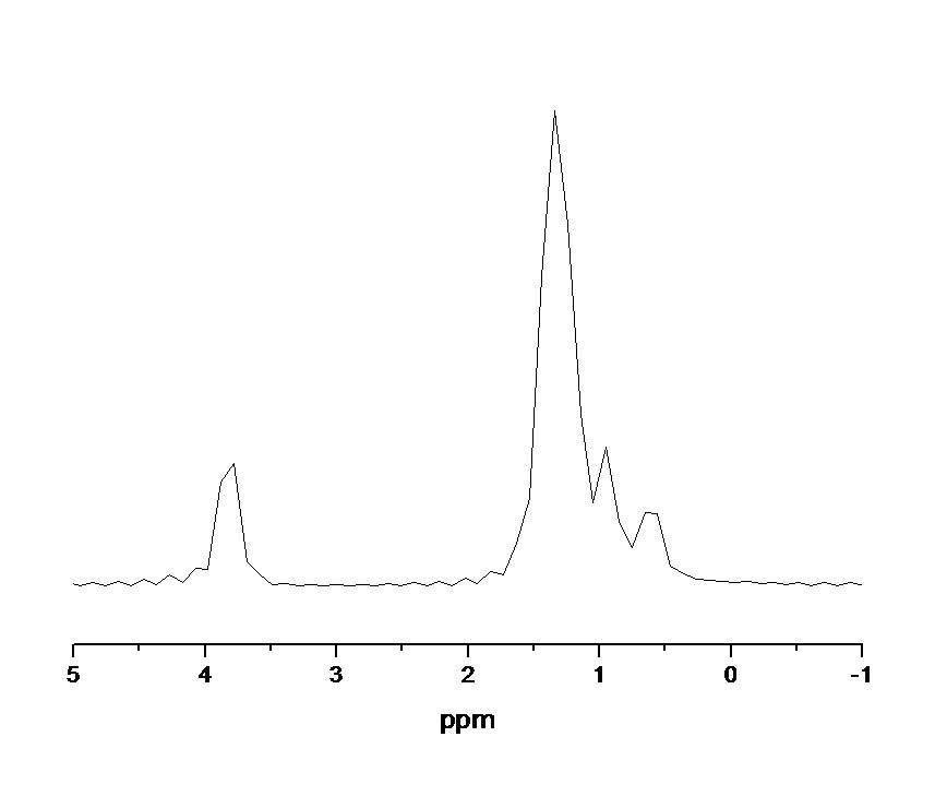 OTES의 농도가 3wt%일 때 코팅된 형광체의 고체상태 1H-NMR spectrum