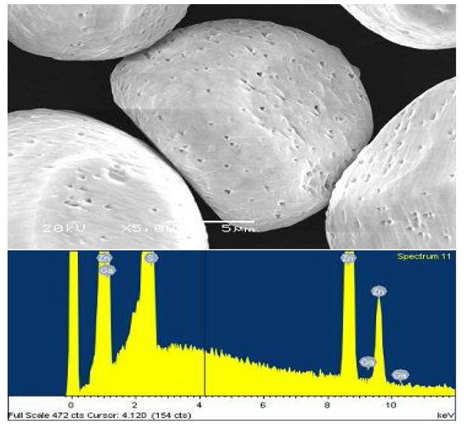 ZnS 형광체의 SEM사진과 EDS spectrum