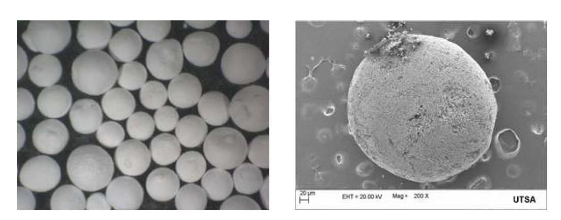 (좌) Optical micrograph of spherical HAp granules (400 - 700 micro meter diameters). (우) SEM micrograph of spherical HAp gran