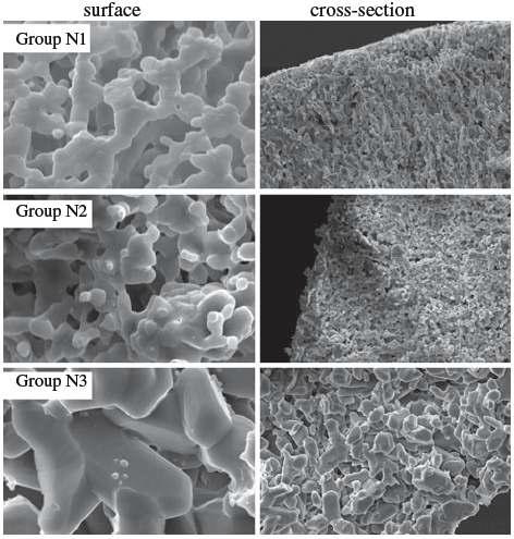 SEM images for each group show various sizes of pores and porechannels. As increasing the content of NaCl, the internal pore structure changed more densely. (Magnification of surface images is x5,000, and that of cross-section images is x1,000).