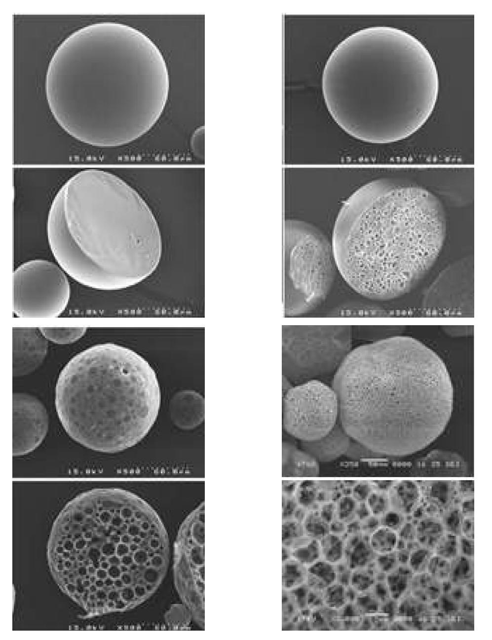 왼쪽 상단으로 부터 시계방향으로 비다공성, 부분다공성, 다공성 및 표면이피복된 다공성 마이크로스피어스들의 전자현미경 사진. (상단: 표면, 하단: 절개면)