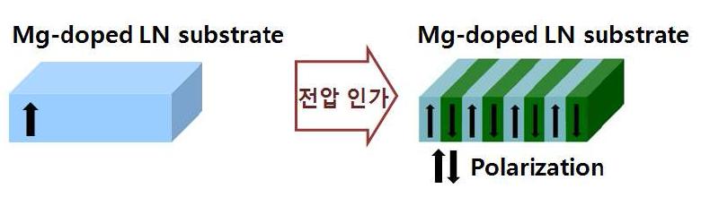 전계 인가를 통한 분극 반전 효과