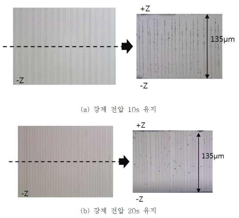 인가 전압 시간에 따른 주기적 분극 반전의 단면 분석