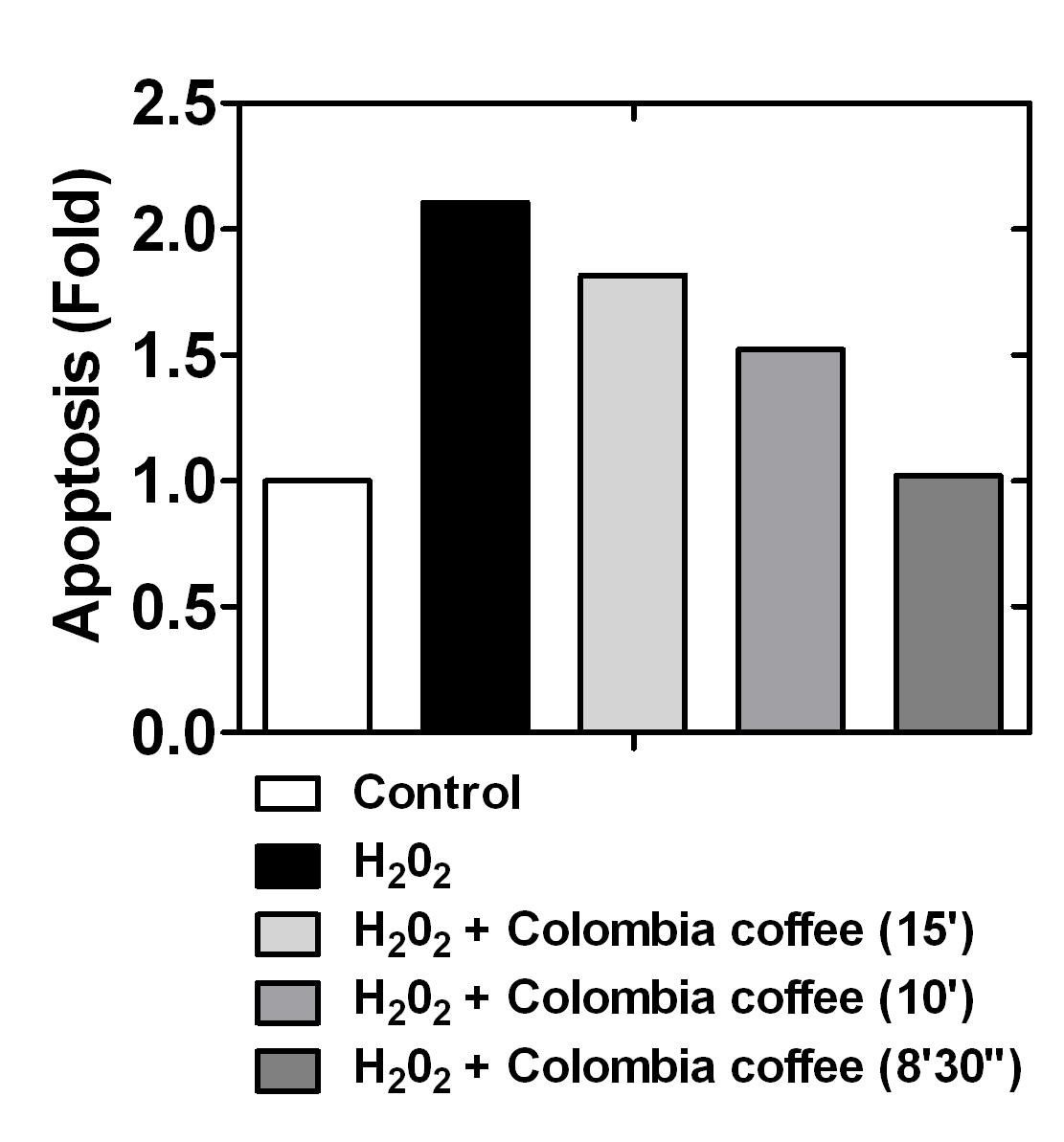 Apoptosis 패턴 분석을 통한 Colombia산 커피 로스팅 시간별 추출물의 세포적 수준에서의 항산화효능 비교평가