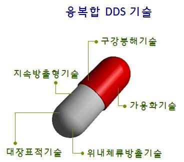 융복합 DDS기술의 모식도