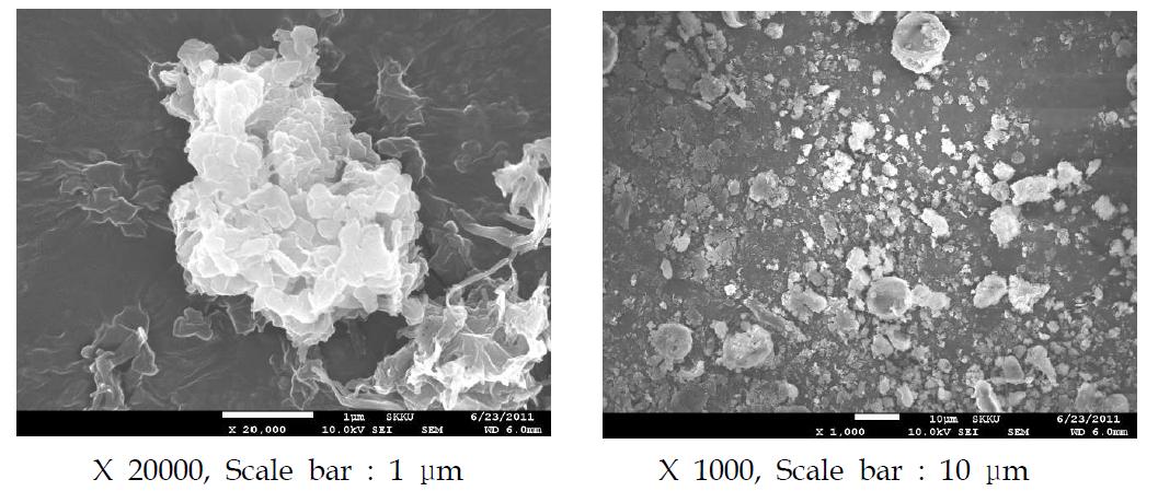 F2(담체: calcium stearate)의 SEM 사진