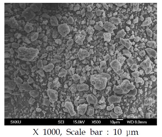 ethylcellulose의 SEM 사진