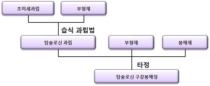 탐술로신 구강붕해정의 제조 공정도.