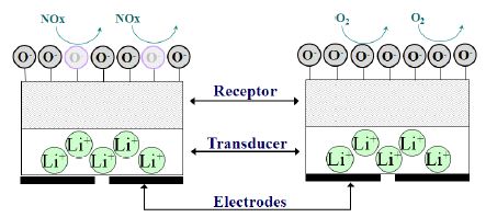 그림 3-39. Response mechanism to NOx and O2 of Oxide/ LATP device