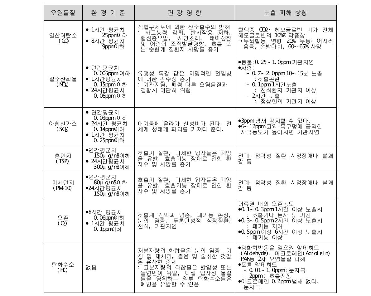 자동차 배출가스가 인체에 미치는 영향