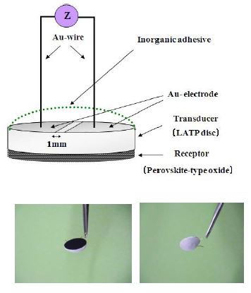 그림 2-4. Schematic diagram of gas sensor device using solid electrolyte impedance transducer and oxide receptor