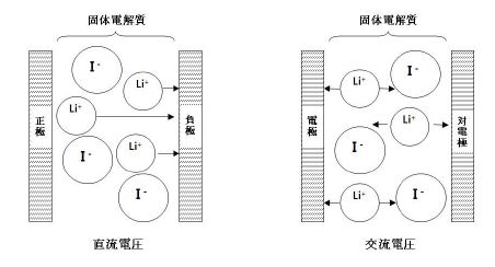 그림 2-9. 직류와 교류에 의한 이온 거동의 차이점