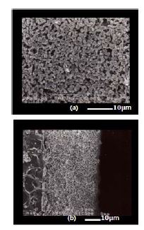 그림 3-14. SEM images of NaDyCON thick-film on Au-Al2O3 substrate deposited from IPA solvent and sintered at 1000 ℃. (a) Surface, (b) Cross section