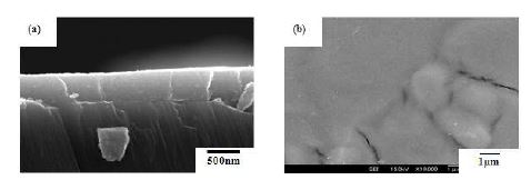 그림 3-16. SEM images of the closs section (a) and the surface (b) of the Li1+xAlxTi2-x(PO4)3 thin-film sintered at 600 ℃