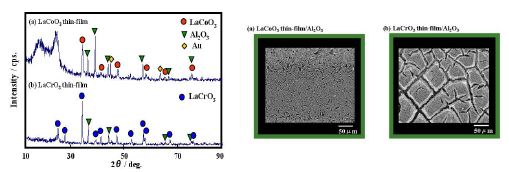 그림 3-20. XRD patterns SEM images of (a) LaCoO3 thin film and (b) LaCrO3 thin film on Al2O3 substrate