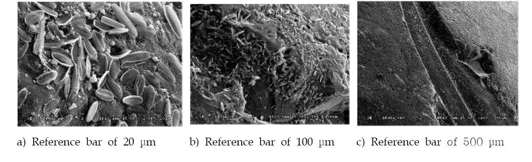 Deactivated TiO2 nanoparticle-carrying SiO2 carrier after hybrid (fluidized biofilter +photocatalytic process) treatment of textile and dyeing wastewater emitted from D textile and dyeing industry, and subsequent placement for 5 days under UV-off condition
