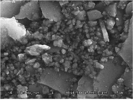 Glass beads carrier with TiO2 nanoparticles, prepared byimpregnation of TiO2 sol on the surface of glass bead carrier and subsequent 30 min-calcination at 450℃, as control.