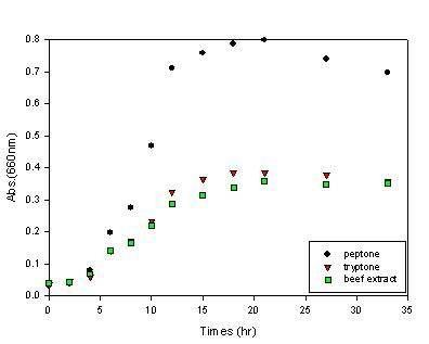 Transient optical density of microbes incubated at 30℃ and 200 rpm in the medium of LKH-12 except for nitrogen source.