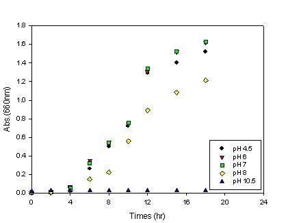 Transient optical density of microbes incubated at 30℃ and 200 rpm in the medium of LKH-13 under various pH.