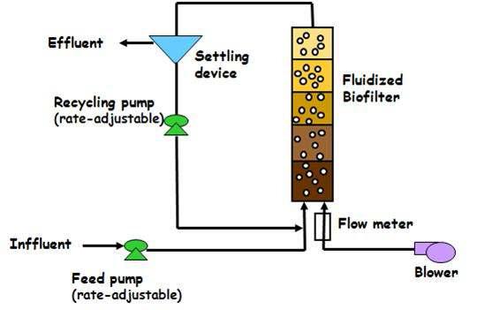 Schematic diagram of fluidized biofilter.