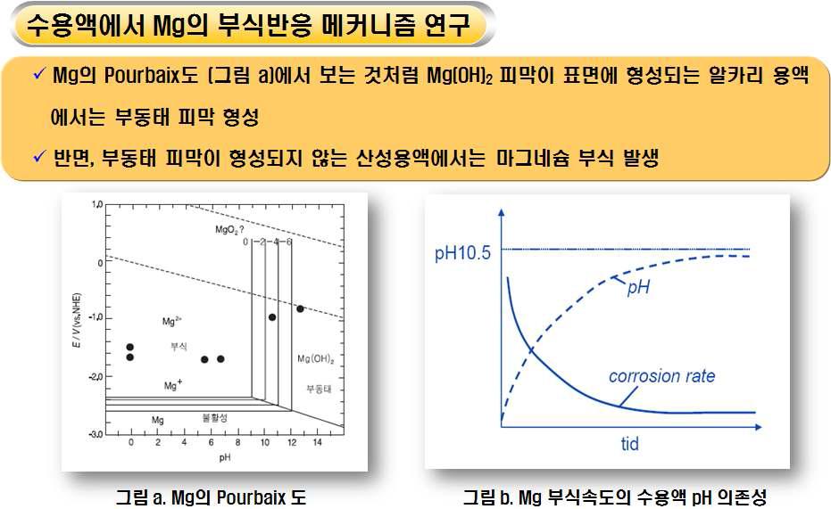 Mg-H2O계 Potential-pH Diagram(그림 a) 및 Mg 부식속도의수용액 pH 의존성 (그림 b)