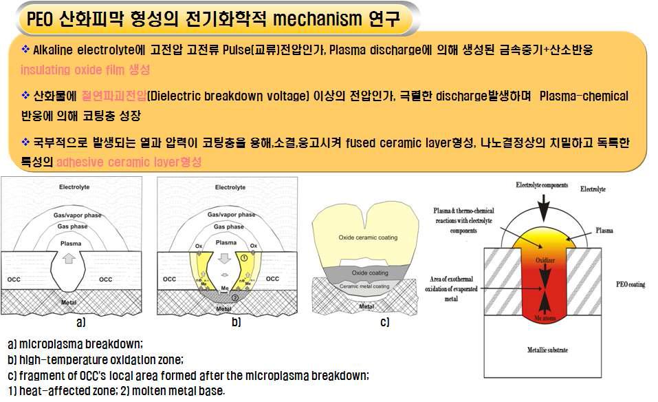 전기화학적 산화코팅법에 의한 산화피막 형성 및 성장반응전기화학적 메카니즘