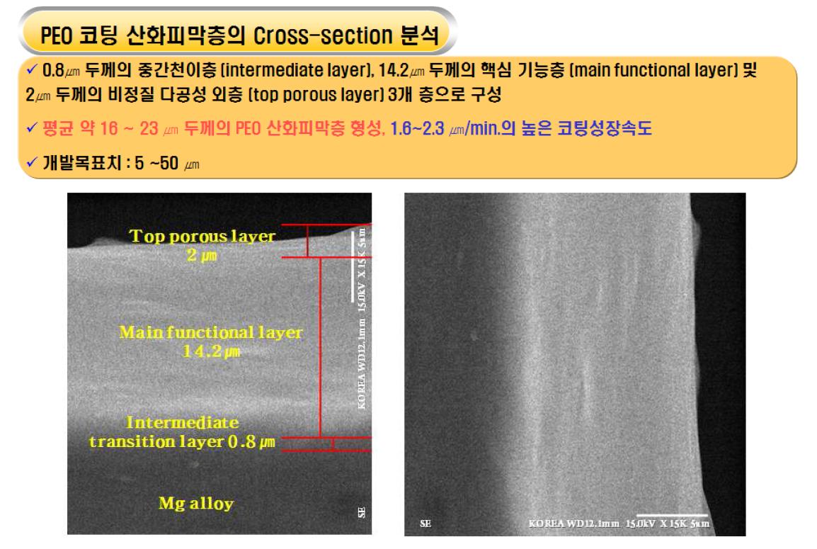 NaOH 2g/ℓ, Na6P6O18 4g/ℓ, NH4F 8g/ℓ 및 글리세롤 10㎖/ℓ의 혼합 전해액을 사용하여 8A/dm2의 전류밀도, 380V 전압 및 전해액 온도 25℃에서 10분 동안 PEO 산화코팅 처리된 AZ91D 샘플의 cross section에 대한 SEM 이미지