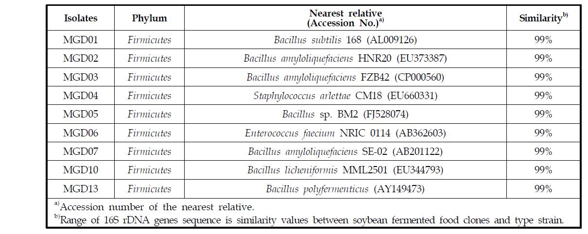 (주)몽고식품 된장으로부터 분리된 세균 종류 및 16S rDNA 상동성 결과