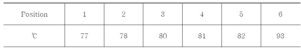 Measured Temperaures( Inner surface of chamber : 99 ℃, , Ambient temperature = 26 ℃)