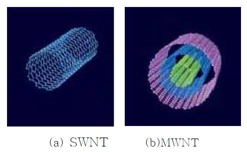 탄소 나노튜브 구조