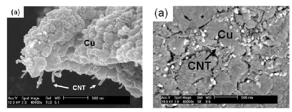 CNT/ 나노 구리입자 혼합 powder 마이크로 이미지(TEM) (좌), 소결된 조직의 이미지 CNT10% vol (SEM) (우)