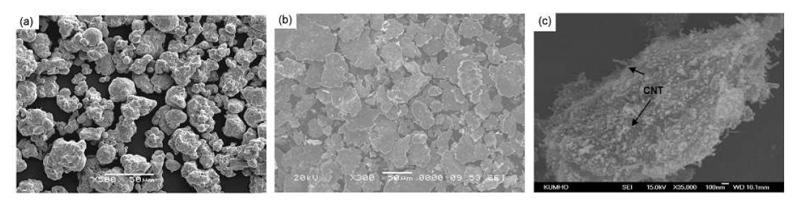 저온 분사에 쓰는 Cu/CNT 복합 분말의 구조 (a)순수 구리 SEM 구조 (b)Cu/CNT 복합 powder, FE-SEM 이미지 (c)Cu/CNT 복합 powder