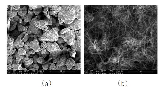 SEM image of as-received (a) Cu Powder (b) MWCNT Powder