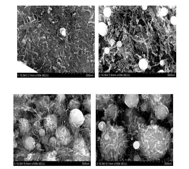 SEM image of only a layer of the multiwalled carbon nanotube/copper composite powder(Sintering temperature: 850℃) (a) CNT 5vol% (b) CNT 10vol% (c) CNT 20vol% (d) CNT 30vol%