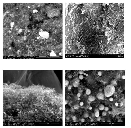 SEM image of a layer of the multiwalled carbon nanotube/copper composite powder on the coat of copper powder(Sintering temperature: 800℃) (a) CNT 5vol%(b) CNT 10vol% (c) CNT 20vol% (d) CNT 30vol%