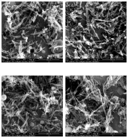 FESEM images of the CNT/CuO coated surface by using different additives after sinterning.(a)THF, (b)SDBS, (c)SDS, (d)Pristine