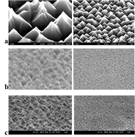 substrate temperature에 따른 표면 texturing 공정 후 SEM 사진(a. 5 ℃, b. 10 ℃, c. 15 ℃).