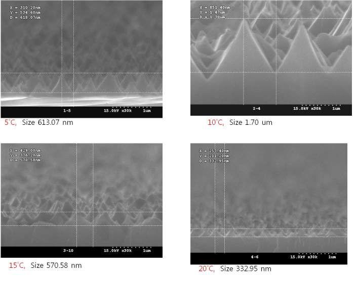 substrate temperature에 따른 표면 texturing 공정 후 SEM 사진(5, 10, 15, 20 ℃).